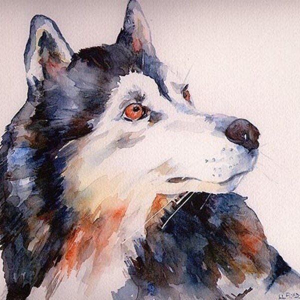 Watercolor Siberian Husky Giclee Print Limited Edition