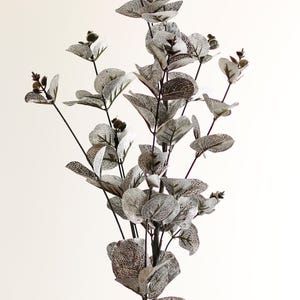 May include: Artificial eucalyptus branches with grey and brown leaves. The leaves have a delicate, lacy pattern. The stems are dark brown, and the overall effect is elegant and natural.