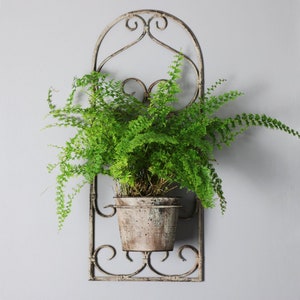 May include: A white metal wall planter with a decorative scrolled design. A green fern plant is growing in a white ceramic pot inside the planter.