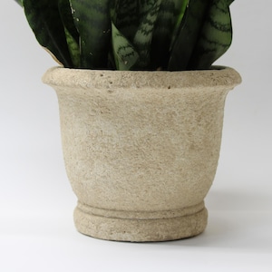 May include: A beige, textured, stone-effect planter pot with a rounded base and a wide, slightly flared rim. The pot contains dark green, upright snake plant leaves. The pot has a classic design, suitable for indoor or outdoor use.