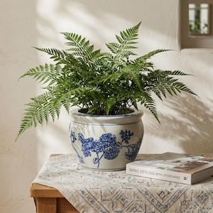 May include: A lush green fern plant potted in a round, white ceramic planter decorated with blue floral patterns. The planter features a wide rim and sits on a table covered with a patterned cloth next to a book titled Home Styling with 7FiveYards.