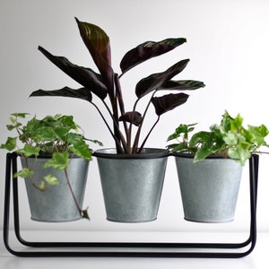 May include: Three galvanised metal planters with plants, hanging from a black metal stand. The plants include a green ivy and a dark green and burgundy plant.