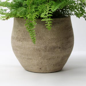 May include: A large, textured, light brown, round planter pot with a wide opening, filled with vibrant green fern plants. The pot has horizontal striations and a slightly tapered shape. The ferns cascade over the edge of the pot.