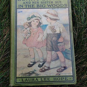 Bunny Brown and His Sister Sue Book -  Laura Lee Hope 1917