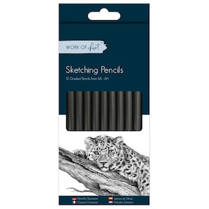 May include: A set of 12 sketching pencils in a dark blue box with the text Work of Art Sketching Pencils 12 Graded Pencils from 6B-6H. The packaging features a black and white illustration of a leopard cub resting on a textured tree branch.