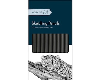 12 Work Of Art Graded Pencils For Sketching & Drawing Shades 6B - 6H, Light/Dark