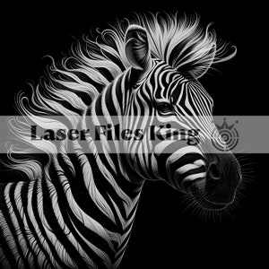 File Scala di grigi / Immagini incisione laser 3D / Immagini HD per incisione laser / Illusione 3D / Incisione Rilievo / Zebra 8k