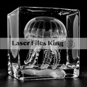 Fichier en niveaux de gris / Images de gravure laser 3D / HD / Image prête / Illusion 3D / Gravure en relief / png / Lightburn / noir et blanc