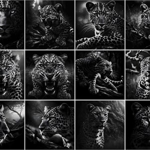 Fichier en niveaux de gris / Images de gravure laser 3D / Images de gravure laser HD / Illusion 3D / Gravure en relief / 8K / Léopard