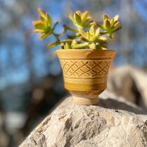 Op de afbeelding: Een kleine, geelbruine keramische pot met een geometrisch patroon bevat een vetplant met groene en gele bladeren. De pot staat op een lichtgekleurde rots, met een vage blauwe en groene achtergrond.