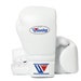 see more listings in the Boxing Gloves section