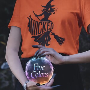 Halloween-shirt boze heks, retro heks grafisch T-shirt, shirt spooky seizoen, shirt Halloween kostuum, shirt heksen herfst voor vrouwen