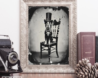 Vintage Boston Terrier Portrait, 1800s Dog Art, Digital Download, Boston Terrier in Top Hat, Victorian Pet Decor, Antique Dog Print