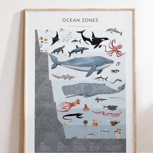Meereszonen Poster B2, Schichten des Ozeans, Meeresbewohner, Meerestiere, Natur, Grundschule, Schule zum selber ausdrucken