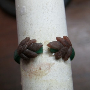 May include: A brown wax ring with a green band. The ring has a detailed design on the top.