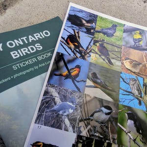 May include: A sticker book titled MY ONTARIO BIRDS STICKER BOOK with 140 stickers and photography by Ana Luis, displayed next to a grid sheet featuring numbered photographic images of various bird species in their natural habitats.