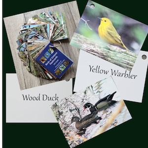 Jeu n°1 : cartes mémoire d'oiseaux de l'est du Canada, cartes mémoire d'oiseaux de l'Ontario, oiseaux d'Amérique du Nord, cartes mémoire d'oiseaux, cadeau de Pâques