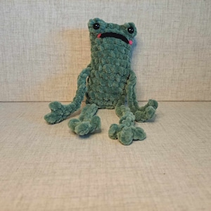 May include: A green crocheted frog plush toy with a pink tongue sticking out. The frog has black eyes and a black mouth.