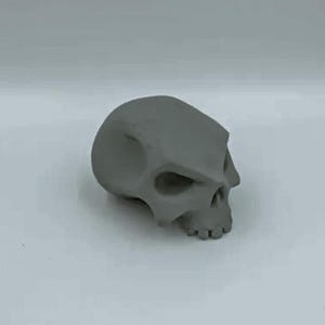 Inspired Sea of Thieves Half Skull : Paint Yourself