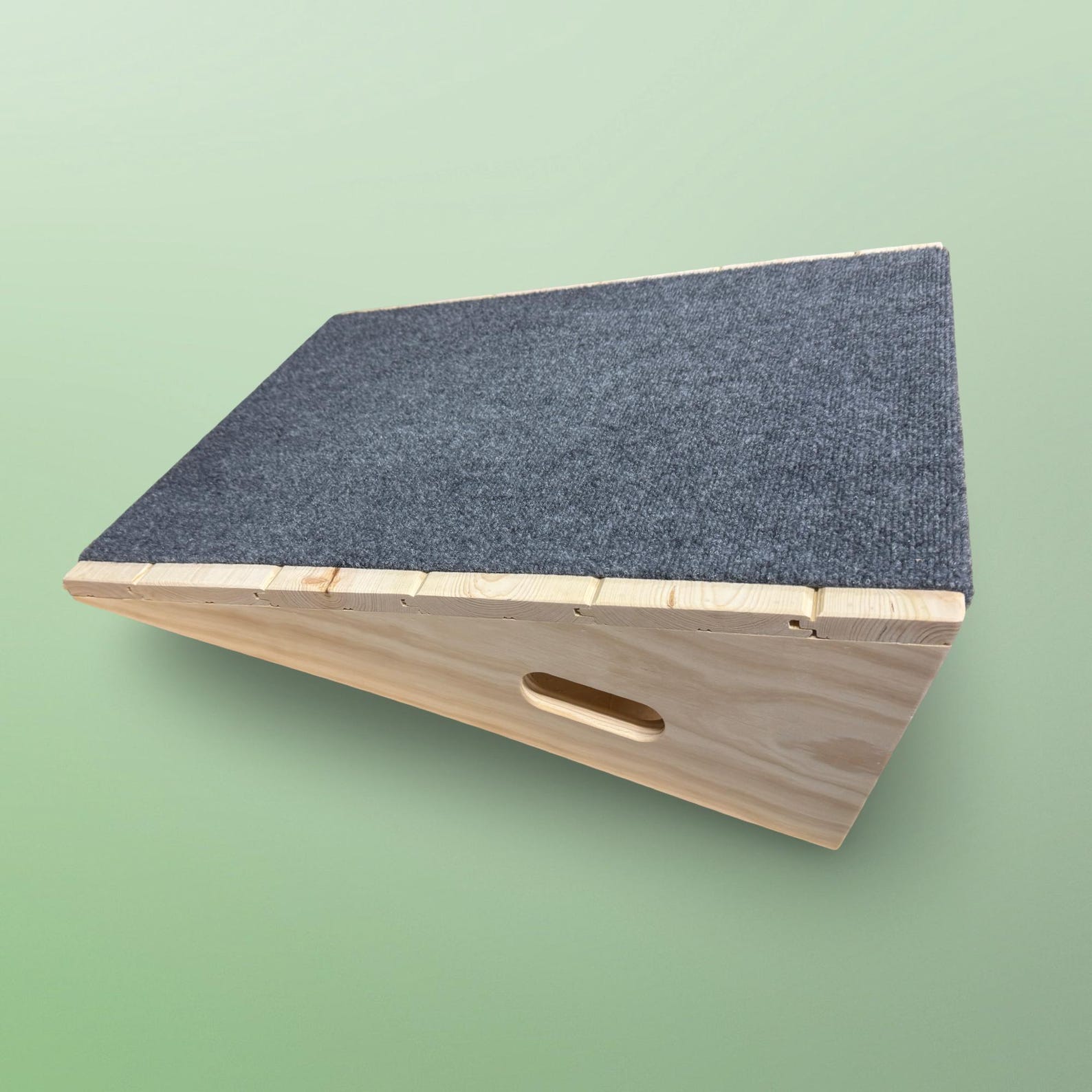 Pet Ramp With Gentle Incline for Dogs or Cats. for Indoor Use. Made ...
