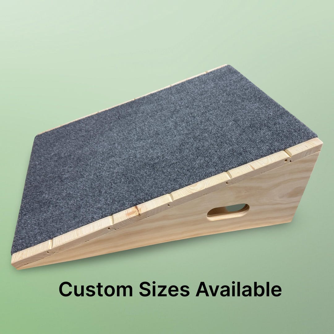 Pet Ramp With Gentle Incline for Dogs or Cats. for Indoor Use. Made ...