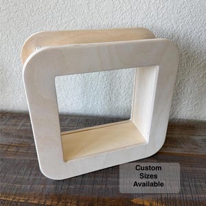 Pet door for wall installation for dogs or cats.  Custom sizes available, also available for doors too!