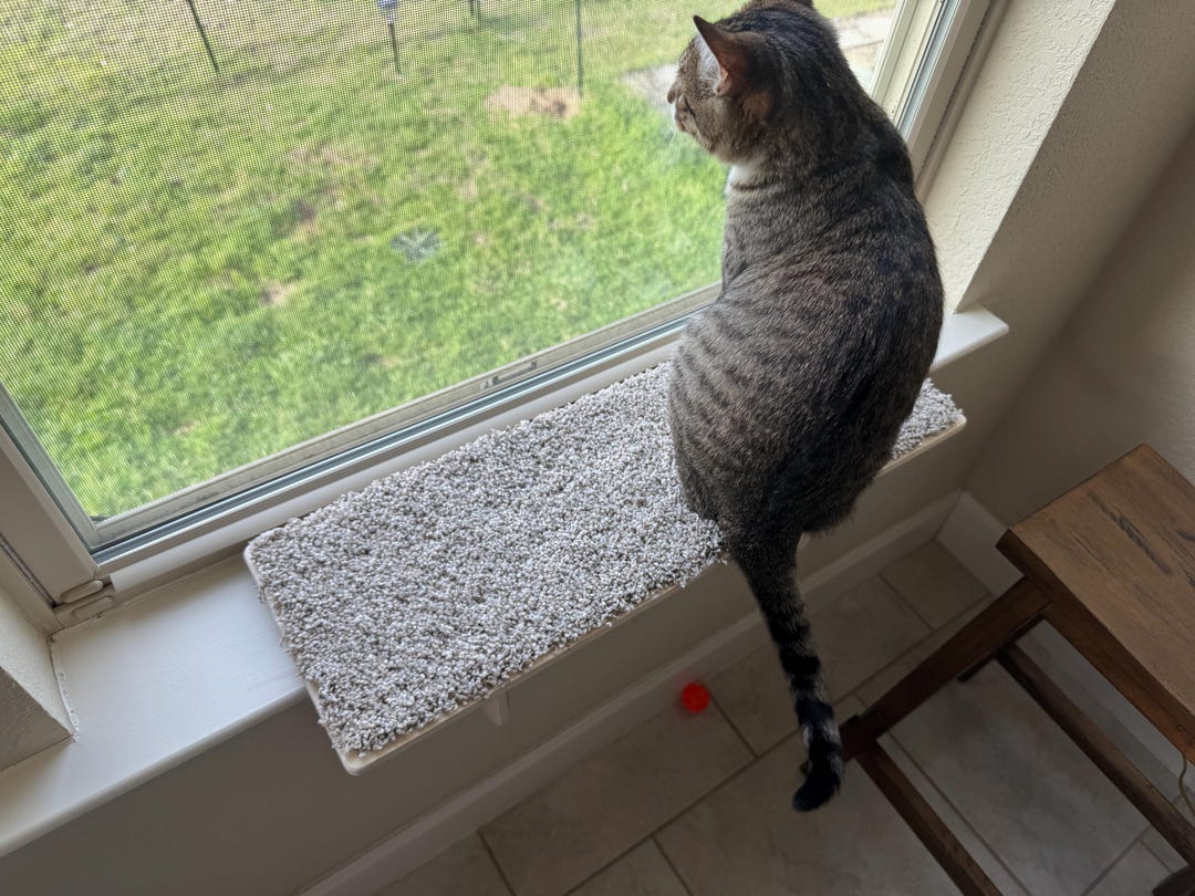 Perfect Cat Shelf Window Perch. Universal Fit. Custom Sizes Available ...