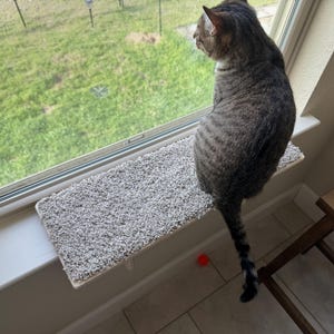 May include: A gray tabby cat sits on a window perch, looking out a window at a green lawn. The cat's fur has dark stripes. A small red ball rests on the windowsill. The perch is covered in gray carpet.