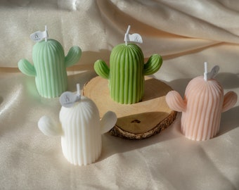 Handmade Cactus Candles, Scented Soy Wax Candle, Handcrafted Succulent Plant Candles, Housewarming Gift, Birthday Gift, Home Decor Candle