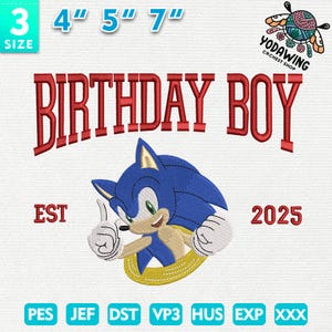 Vintage Cartoon Embroidery Design, Birthday Boy Embroidery Design, Retro Hedgehog Embroidery Design, Instant Download