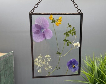 Real Pressed Flowers, Wild Flowers, Stained Glass Wall Hanging, Flower, Floral Gift, Wall Hanging, Hydrangea Leaf, Queen Annes Lace, Pansy