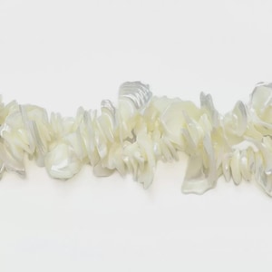 Puede incluir: Un collar de fragmentos de concha de color blanquecino, de forma irregular. Los fragmentos tienen un brillo nacarado y están ensartados, creando un aspecto texturizado y orgánico. El fondo es blanco liso, resaltando la belleza natural del collar.