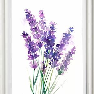 Stampa artistica con acquerello di lavanda, poster botanico, fiori, campi di lavanda, arte