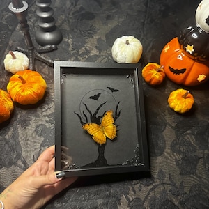 HALLOWEEN COLLECTION real naturalized butterfly on black moonlight background // entomology, cabinet of curiosities, dark decor