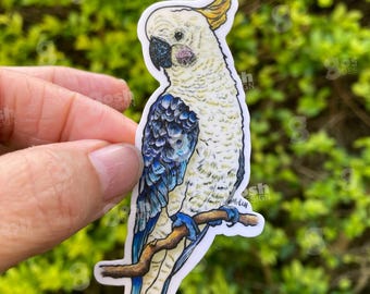 Vinylsticker Australische inheemse vogelkaketoe