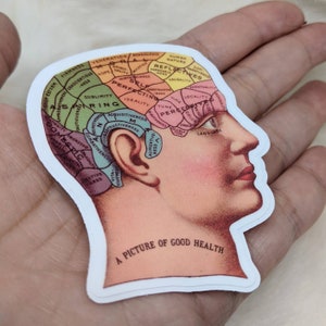 Phrenology Head Sticker / Vintage Brain Sticker / Water Bottle Sticker / Vinyl Sticker / Vintage Image / Phone Sticker / Laptop Sticker image 2
