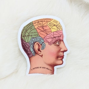 Phrenology Head Sticker / Vintage Brain Sticker / Water Bottle Sticker / Vinyl Sticker / Vintage Image / Phone Sticker / Laptop Sticker image 1