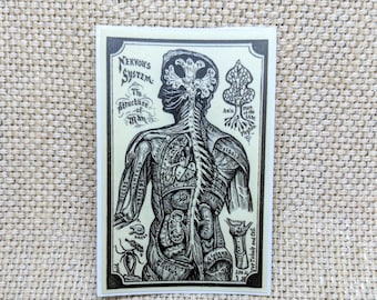 Nervous System Sticker / Medical Sticker / Vinyl Sticker / Vintage Image / Phone Sticker / Laptop Sticker / Creepy Vintage Sticker