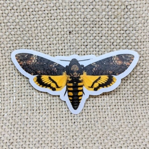 Death Moth Sticker / Deaths Head Moth / Vinyl Sticker / Tablet Sticker / Vintage Image / Phone Sticker / Laptop Sticker / Hawkmoth Sticker