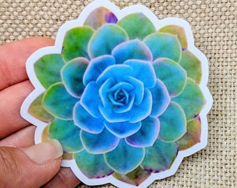 Succulent Sticker / Bumper Sticker / Vinyl Sticker / Vintage Image / Phone Sticker / Laptop Sticker / Flower Sticker / Succulent Gift