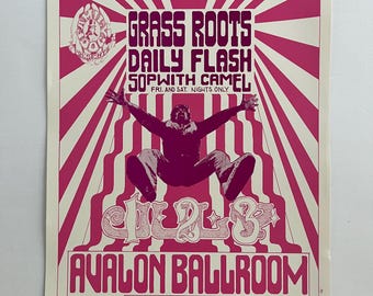 Grass Roots Daily Flash Sopwith Camel Avalon Ballroom 1966 OP-2