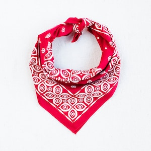 Red Bandana, 100% Cotton Scarf, Paisley Design, Chef Accessory, Bandanas for Women and Men, Eye Motif, Made in USA, Hand Printed
