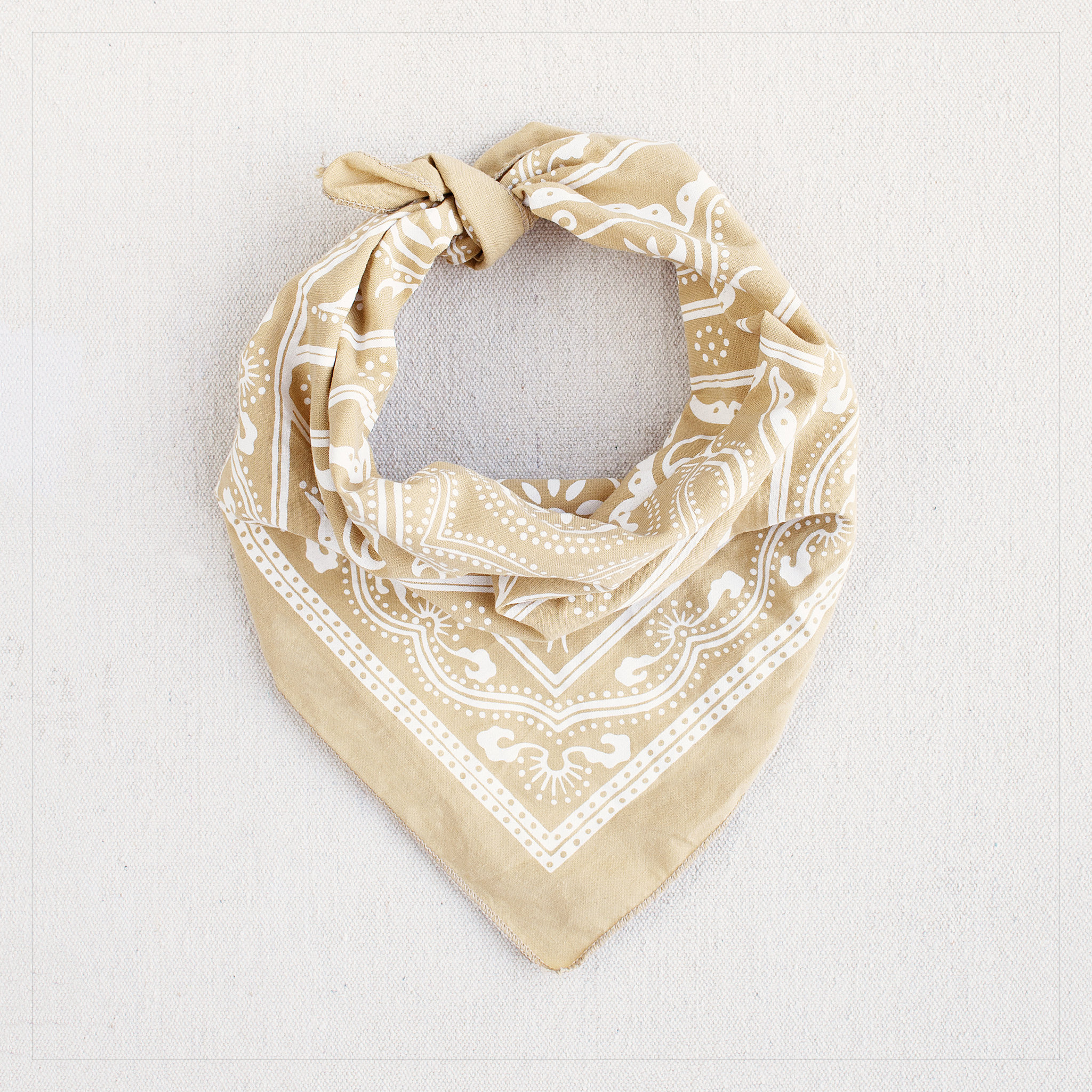 Bandana En Coton 55x55 Cm Motif Pickleball - Foulard, Bandeau Ou Cache-cou Unisexe (cadeau Emballé)