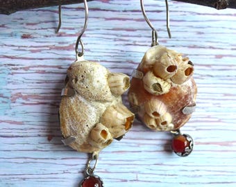 Real Seashell Barnacle Cluster Statement Earrings, Sterling Carnelian Shell Beach Vacation Jewelry