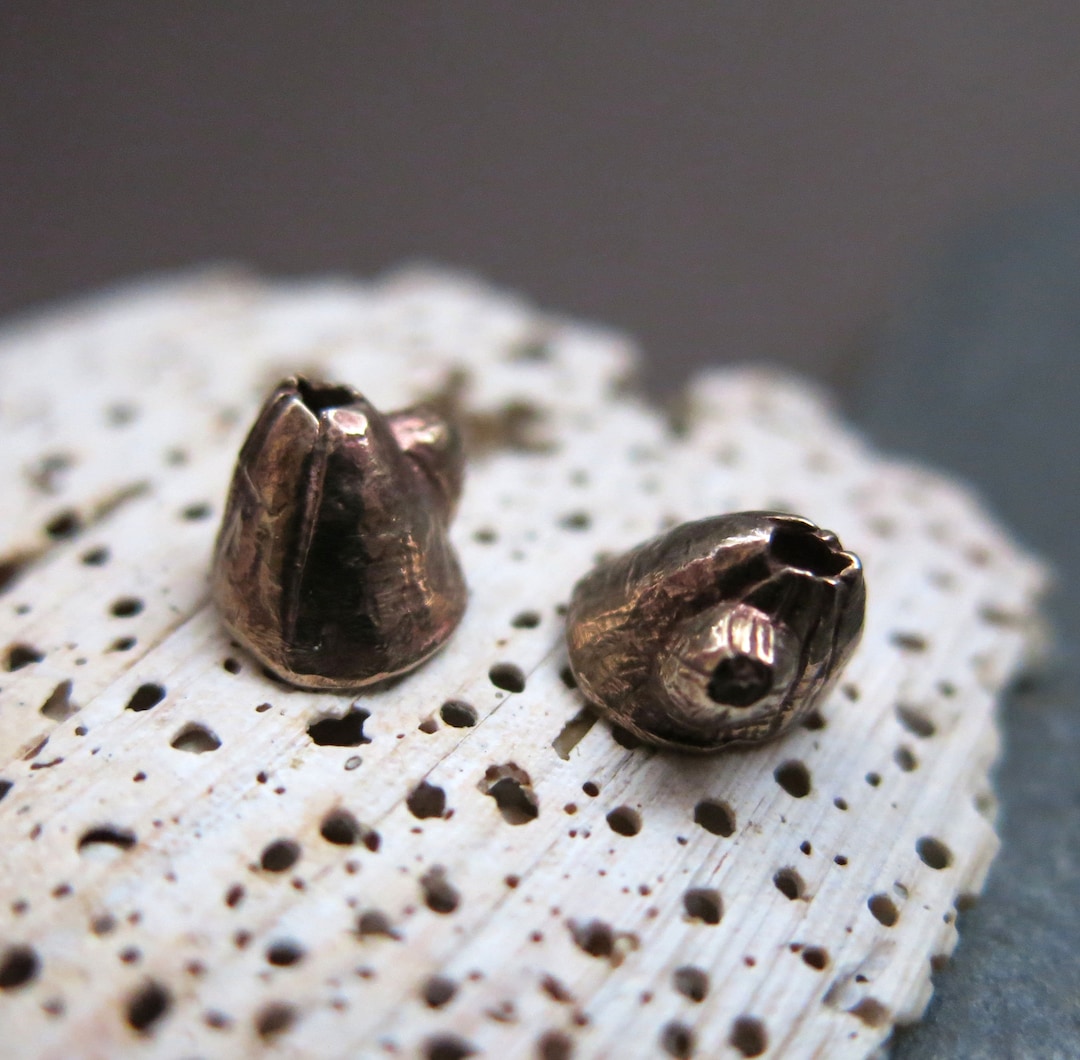 Barnacle Earrings main image 0