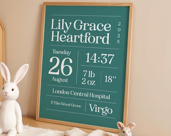 Custom The Day You Were Born Gift Birth Details Personalised New Baby Print Christening Gift For Newborn Baby Nursery Art Baby Shower Gift