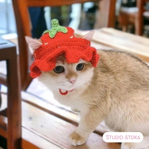 Adorable Handmade Cat Hat | Cute Knitted Cat Strawberry Accessories | Cat Or Dog Small Fun Hat | Unique Crochet Cat Lady New Pet Gift