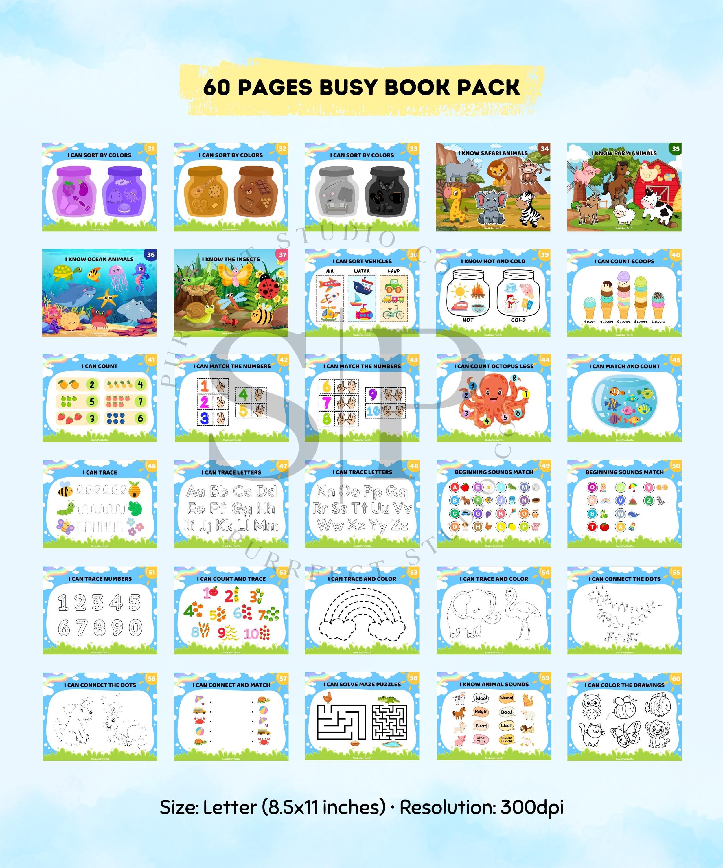 Toddler Printable Learning Binder, Preschool Curriculum, Busy Book