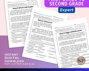 Reading Passage Comprehension Worksheets for First Grade to Second Grade, Printable Sight Words CVC Phonics Teacher Resources ELA, PDF File