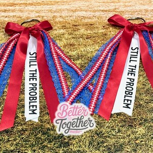 May include: Two hair accessories with red bows, white ribbons with "STILL THE PROBLEM" text, and blue and red accents. The accessories are on a grassy surface, with a "Better Together Studio" logo.